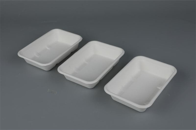 500/650/750ml Rectangular Containers Biodegradable Bagasse Tableware