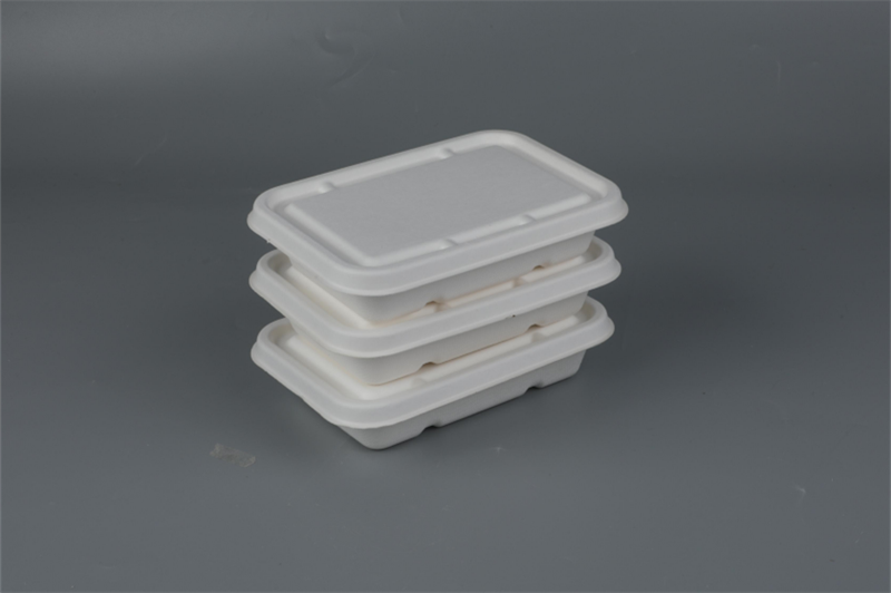 Lids of 500/650/750ml Rectangular Containers Biodegradable Bagasse Tableware