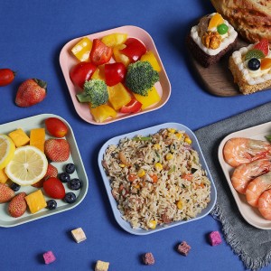 New Arrival Cheap Reusable Kitchen Simple square Plastic Microwave Biodegradable Wheat Straw Fiber Dish Plates for Restaurants