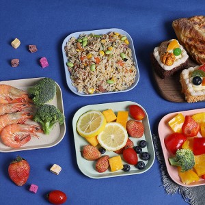 New Arrival Cheap Reusable Kitchen Simple square Plastic Microwave Biodegradable Wheat Straw Fiber Dish Plates for Restaurants