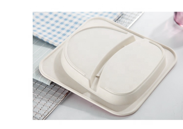 High Quality OEM Reusable Plastic Plate Pricelist - Hot sale natural eco-friendly disposable biodegradable plastics pla bagasse wheat bamboo fiber tableware for kids – Naike