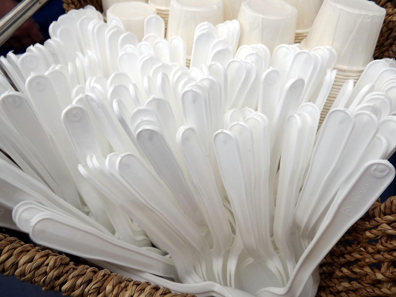 How Do Our Biodegradable Compostable Tableware Combat Global Plastic Pollution?