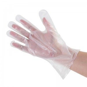Compostable Disposable Food Prep Prep and Food Service Gloves