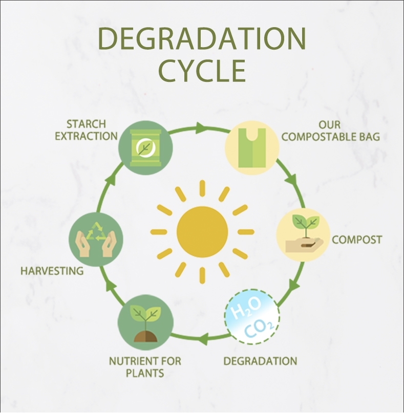 How long does it take for a compostable bag to decompose?