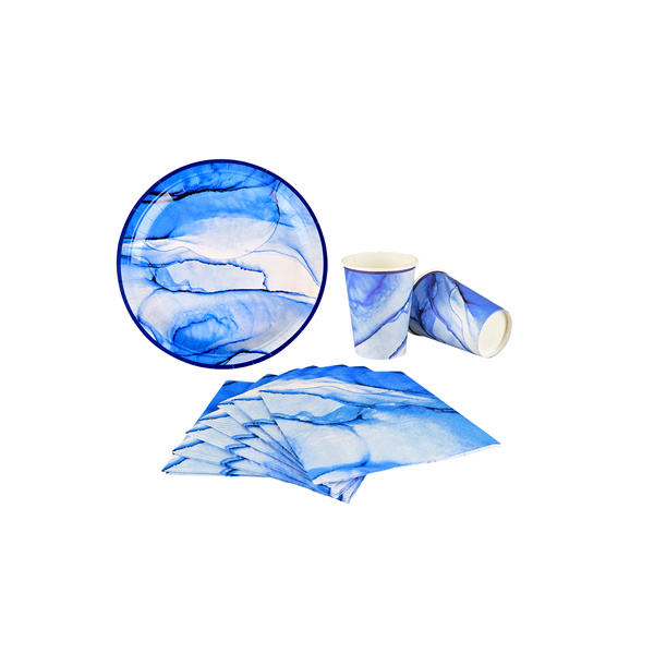 Blue And White Paper Plates
