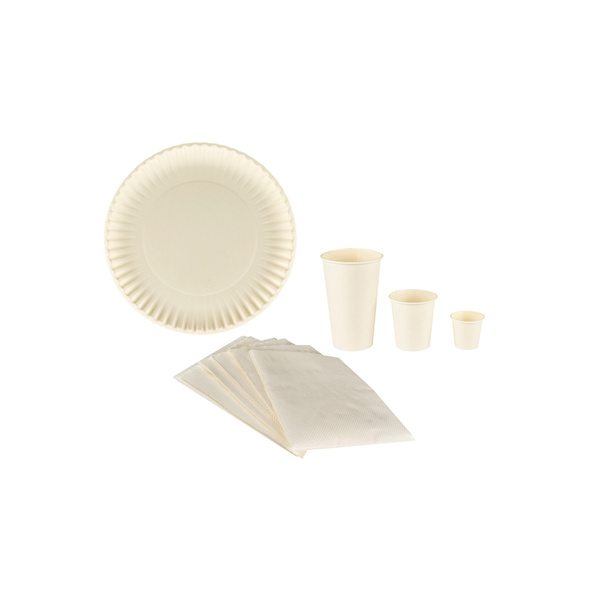 High quality disposable compostable dinner plate