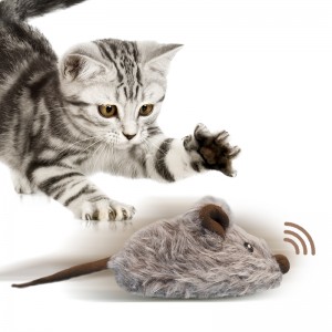 Interactive Mouse Toy