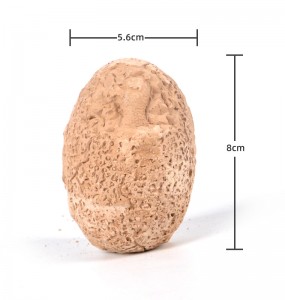Chinese Wholesale Safe High Quality Materials 12PCS Carton Different Dinosaur Model Dinosaur Egg Dig Kit for Children’s Activity