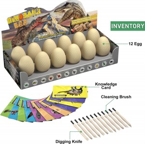 Dukoo Excavation Toy For Kid’s  Education and discovry Dinosaur Egg Dig Kits