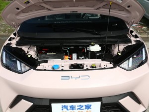BYD Seagull Flying Edition 405km, Lowest Primary source,EV