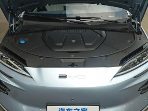 BYD Song Champion Flagship Plus Version,Lowest Primary source,EV