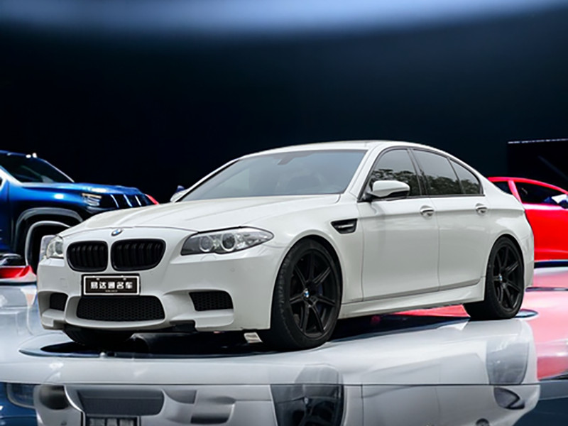 BMW M5 2014 M5 JAAR VAN HET PAARD LIMITED EDITION (1)