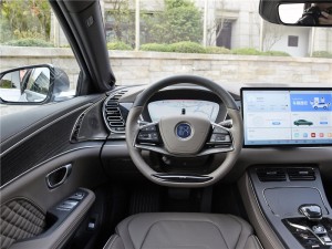 BYD Han 610KM, Genesis AWD Premium EV, modeljaar 2022