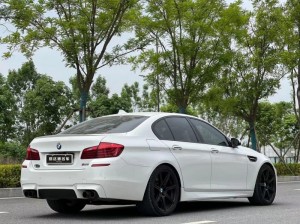 BMW M5 2014 M5 Gore reHorse Limited Edition, Yakashandiswa Mota