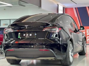 Toleo la gari la gurudumu la nyuma la Tesla Y 2022