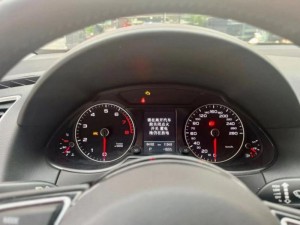 “Audi Q5 2018” kollektorynyň neşiri 40 TFSI