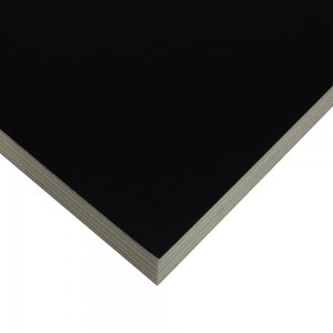 Edlon 18mm 4×8 black film faced shuttering plywood for construction