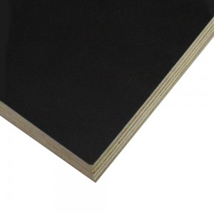 Edlon custom size Marine grade waterproof Phenolic 6669 film faced plywood for outside