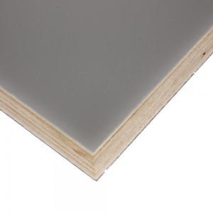 Edlon 4×8 9mm 0.5mm PVC laminated waterproof plywood