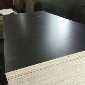 Edlon 4×8 15mm black film faced anti-slip plywood sheet