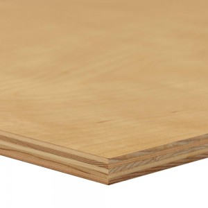 Edlon 5×10 13mm UV coated plywood for furniture making