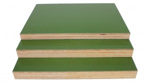 Edlon 13mm 4×8 eucalyptus core phenolic glue marine plywood with PP film