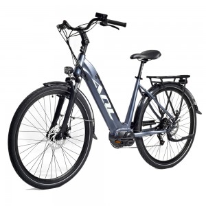 China Wholesale Mid Drive Folding Electric Bike Factories - Green Power City Electric Bike Chinese Cheap Step Through Electric Bicycle For Ladies Sale – Eecycle
