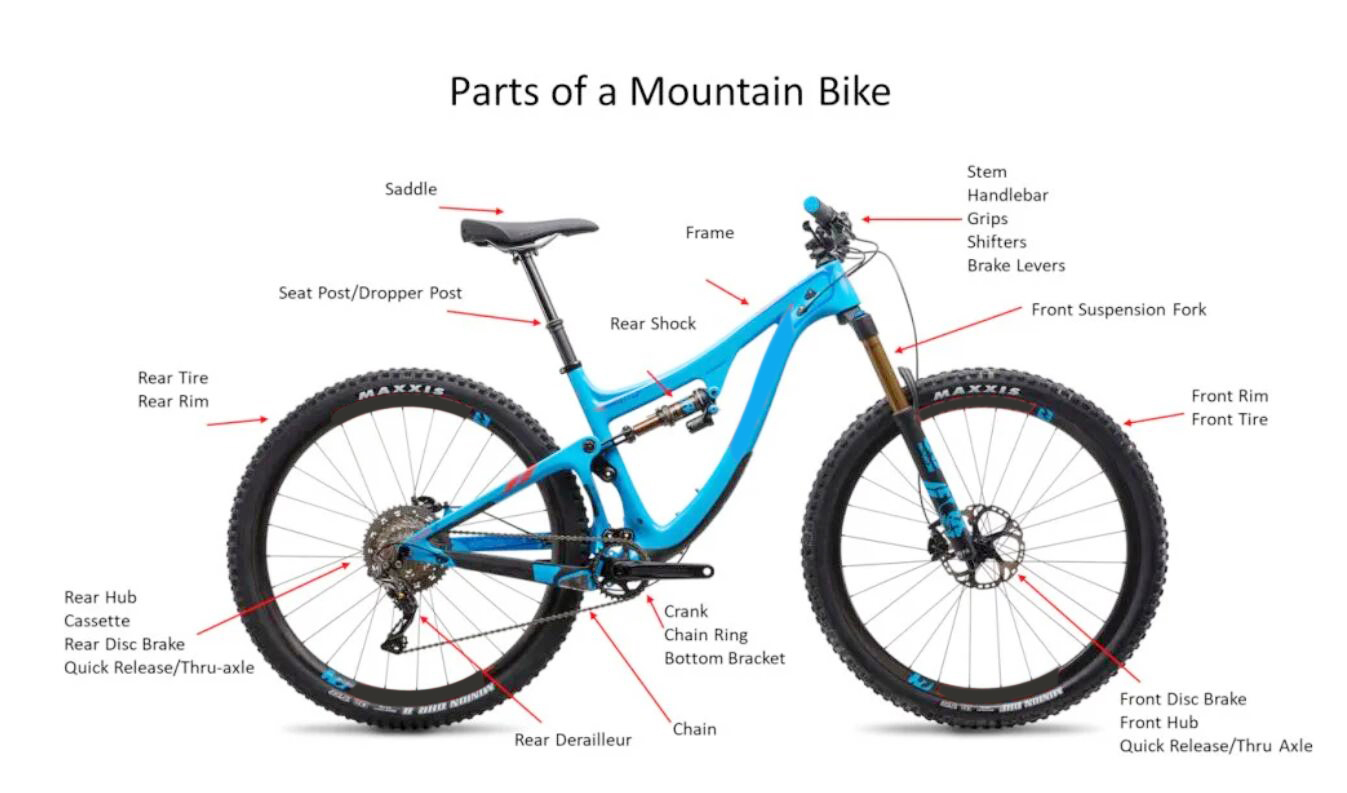 Parts Of A Mountain Bike