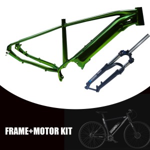 China Wholesale Mid Drive Electric Motor Factories - Factory Supply Wholesale Aluminum Alloy MTB Electric Mountain Bike Frame – Eecycle