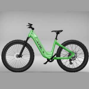 Low Step Through Electric Bicycle Fashion Model...