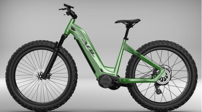 2022 AQL New Products Electric Bike For Your Choose