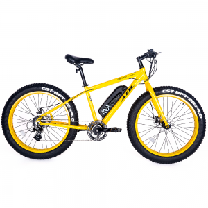 China Wholesale Mini E Bicycle Manufacturers - Electric Bicycle Factory Direct Made in China High Qualtity Mid Motor Men’s Electric Bike With CE Certificate – Eecycle
