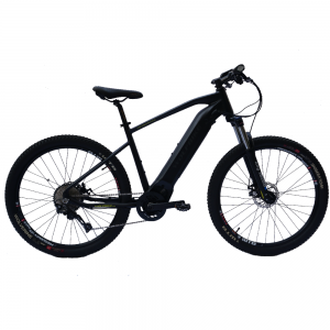 EMTB Electric Bicycle Mountain Ebike With In-fr...