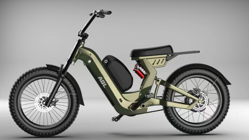 2024 Dual Battery Electric Bike