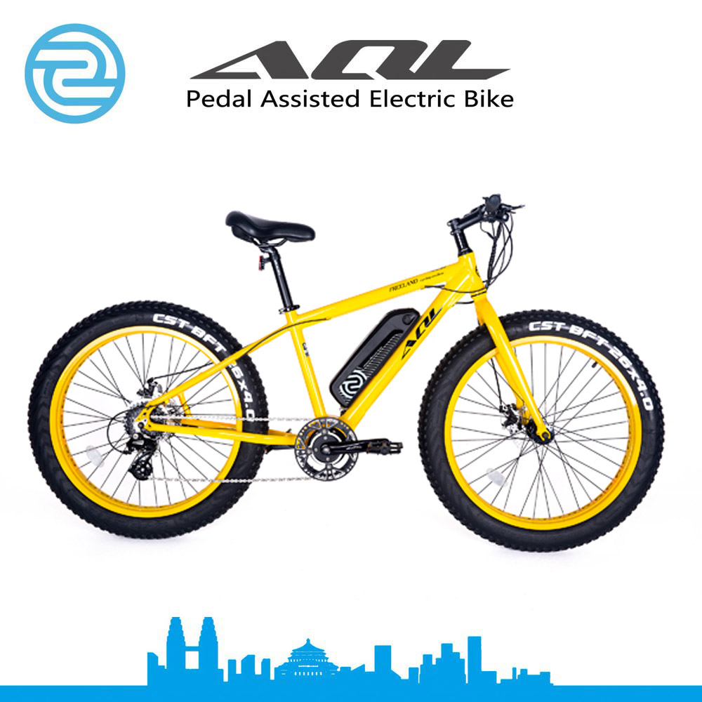 Fat Tire E-Bike Cheap and High Quality Mid Drive Motor Electric Bike Electric Bicycle for Adults