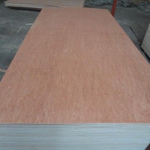 Commercial Plywood -BINTANGOR PLYWOOD