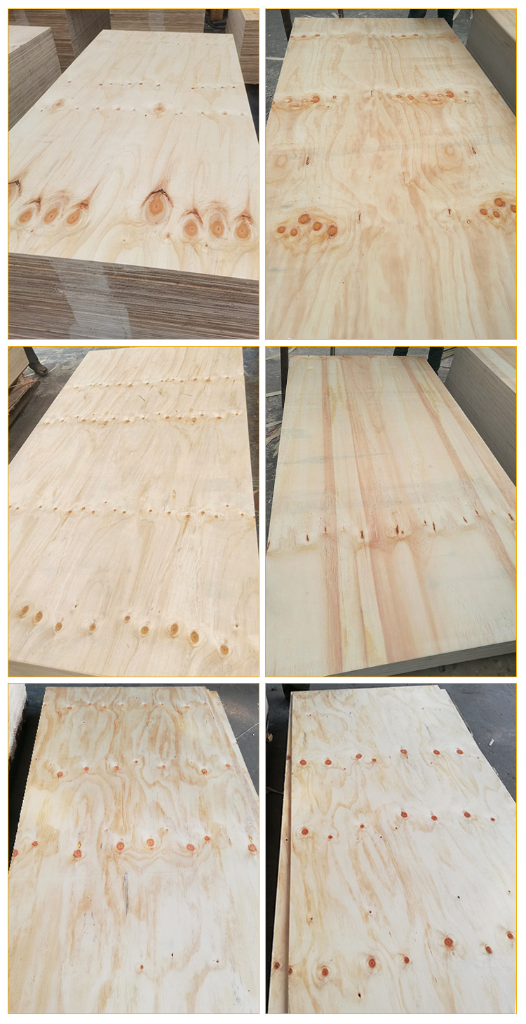 Construction grade CDX pine plywood (1)