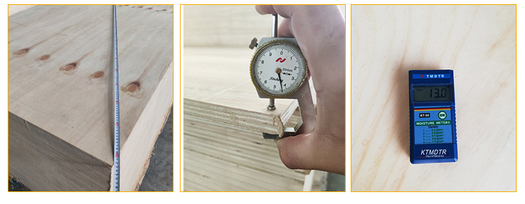 Construction grade CDX pine plywood (3)