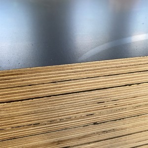 FULL BIRCH CORE FILM FACED PLYWOOD-LINYI DITUO