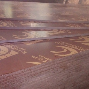 Full Hardwood Core Film Faced Plywood Profile-LINYI DITUO