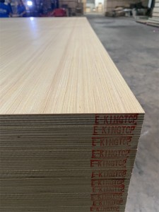 Melamine paper used based plywood