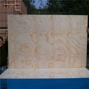 Furniture  grade pine plywood -linyi dituo