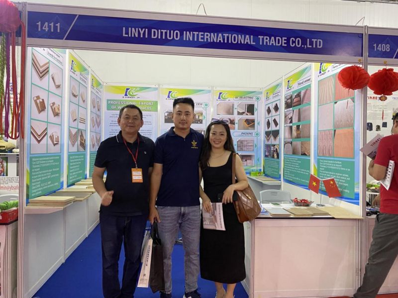 We LINYI DITUO have successfully attend the fair :VIETBUILD 2023