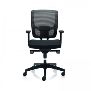 Ergonomic Office Chair with Height Adjustable Arms
