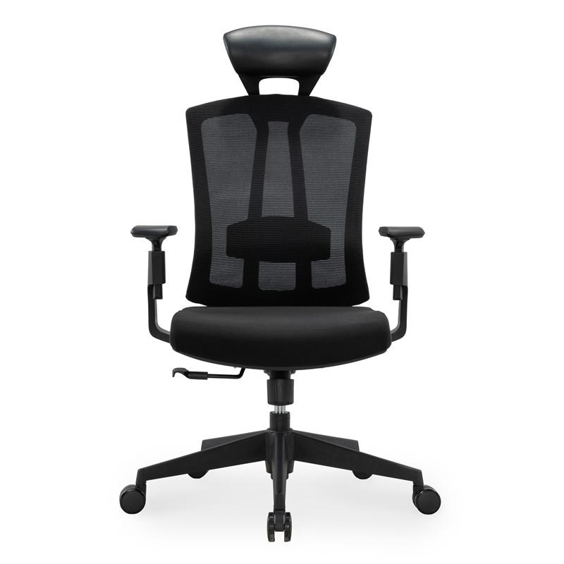 Ergonomic Office Chair with Ultimate 3D Armrests ergo chair (1)