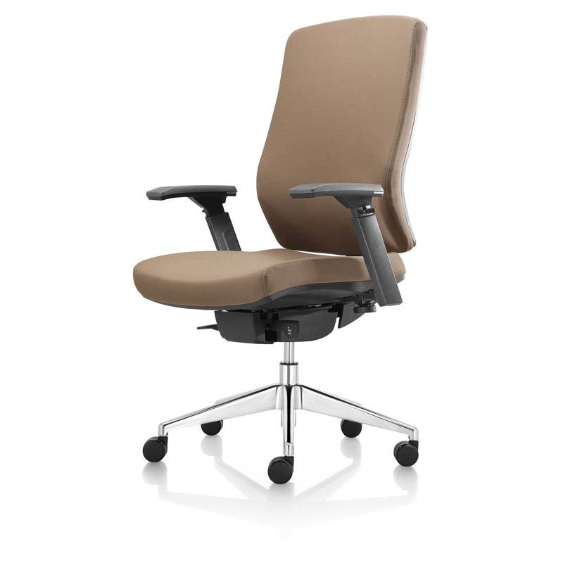 Fabric Middle Back Ergonomic Task Chair (1)