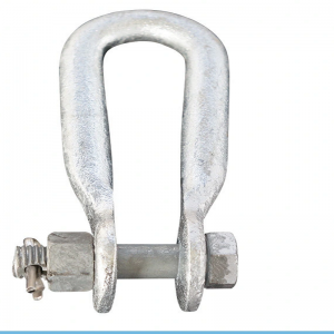 Bottom price 11kv Pin Insulator - Hot-DIP Galvanized Steel Type Anchor U D Shackle – Electric