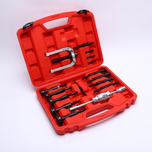 16PCS Inner Bearing Race and Seal Puller Extractor Kit