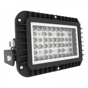 professional factory for Motion Detector Lights - HercuTM General Purpose Bulkhead Light – E-Lite