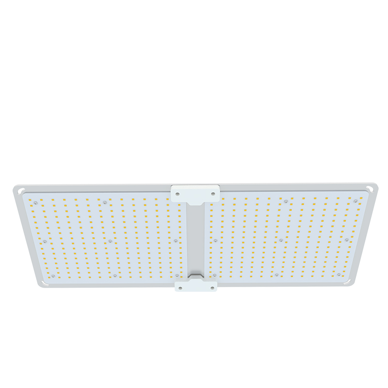 Massive Selection for 500w Led Flood Light - PhotonGroTM 4 – Indoor Board Design 100W-600W – E-Lite